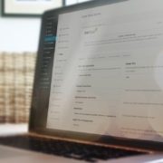 Powerful Theme Options